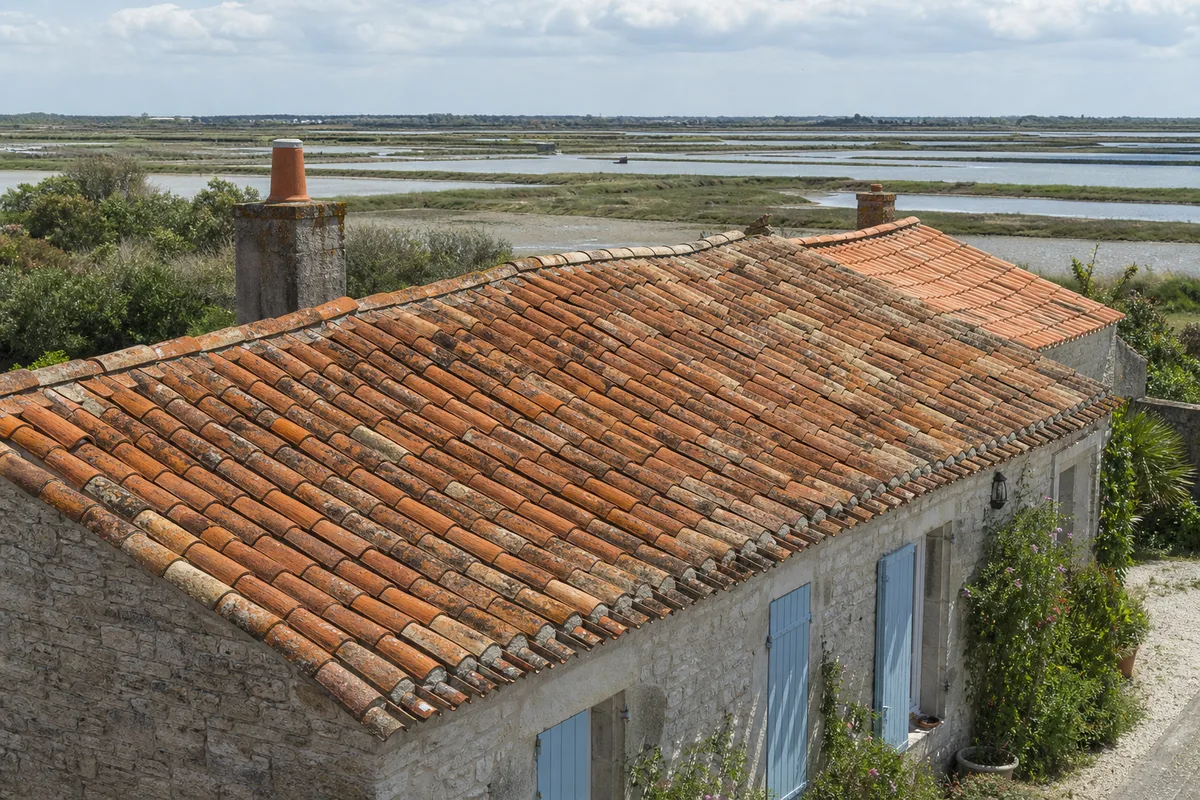 Toiture en tuile canal d’une longère charentaise à Marennes, marais en arrière-plan